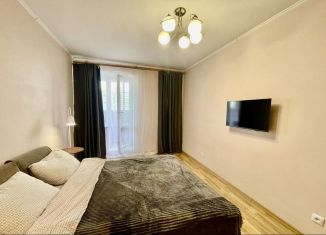 Сдается 1-ком. квартира, 41 м2, Санкт-Петербург, Пулковское шоссе, 36к5