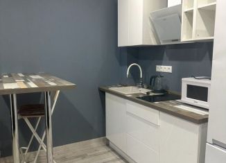 Продается квартира студия, 22.3 м2, Пермь, Агатовая улица, 32