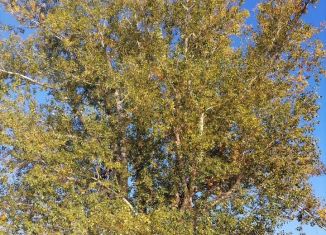 Продается земельный участок, 8 сот., Тюменская область