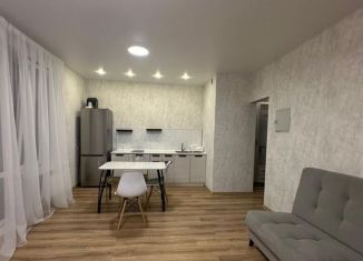 Сдается в аренду квартира студия, 30 м2, Республика Башкортостан, проспект Дружбы Народов, 57/1