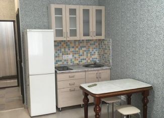 Квартира в аренду студия, 28 м2, Котельники, Кузьминская улица, 5