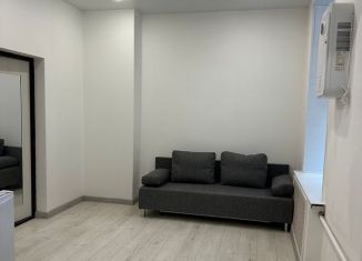 Сдается 1-комнатная квартира, 25 м2, Москва, Чуксин тупик, 4