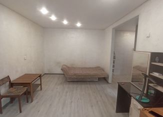 Продам 2-комнатную квартиру, 44.2 м2, Златоуст, проспект имени Ю.А. Гагарина, 5-я линия, 5