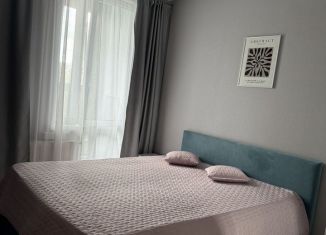 Сдам в аренду 1-ком. квартиру, 40.3 м2, Пермь, Монастырская улица, 60