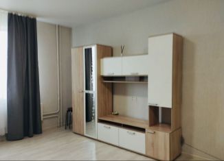 Сдается в аренду квартира студия, 32 м2, Новосибирск, улица В. Высоцкого, 54/2, Октябрьский район