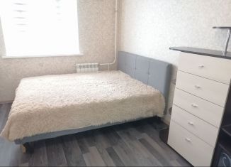 Сдается квартира студия, 26 м2, Псков, улица Ижорского Батальона, 57А