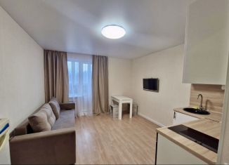 Сдается квартира студия, 25 м2, Республика Башкортостан, улица Лётчика Кобелева, 1