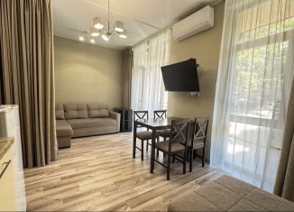 Сдается в аренду квартира студия, 27 м2, Сочи, улица Метелёва, 31