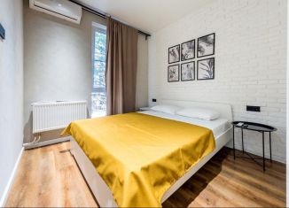 Двухкомнатная квартира в аренду, 45 м2, Сириус, Цветочная улица, 44А