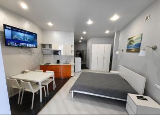 Сдается в аренду 2-комнатная квартира, 40 м2, Кисловодск, улица Чкалова, 75