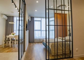 Сдача в аренду 1-ком. квартиры, 36 м2, Сочи, улица Есауленко, 6Ак1