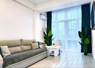 Аренда квартиры студии, 24.9 м2, Сочи, Санаторная улица, 46
