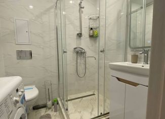 Сдается однокомнатная квартира, 30 м2, Республика Башкортостан, улица А. Пушкина, 62