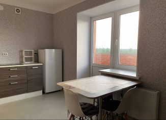 Сдам в аренду квартиру студию, 25.3 м2, Удмуртия, улица Гончарова, 48Д