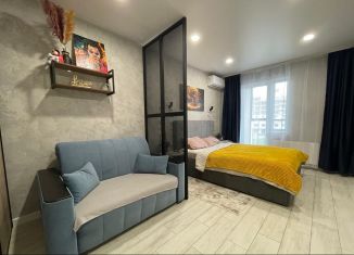 Продается 1-комнатная квартира, 32.5 м2, Челябинская область, набережная Героя России С.А. Кислова, 23