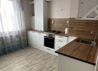 Сдается однокомнатная квартира, 33 м2, деревня Куюки, Школьная улица, 1