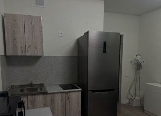 Сдаю квартиру студию, 30 м2, Новосибирск, улица Гаранина, 43, Октябрьский район