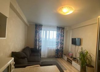 Сдача в аренду квартиры студии, 27 м2, Удмуртия, улица А.Н. Сабурова, 17