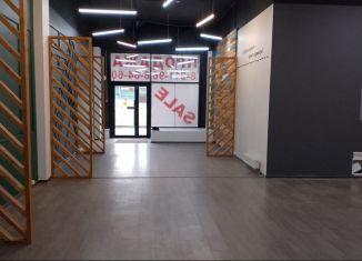 Помещение свободного назначения на продажу, 248 м2, Санкт-Петербург, Заневский проспект, 65