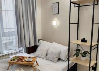 Квартира в аренду студия, 21 м2, Сочи, Санаторная улица, 48Б, микрорайон Новый Сочи