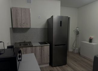 Сдается квартира студия, 30 м2, Новосибирск, улица Гаранина, 43, Октябрьский район