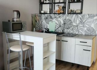 Аренда квартиры студии, 26 м2, Воронеж, Ростовская улица