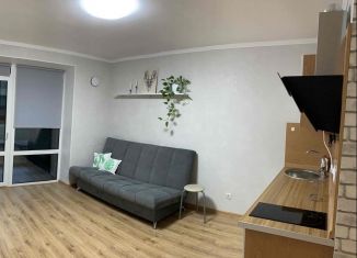 Продается квартира студия, 23 м2, деревня Хохряки, Муромская улица, 1А
