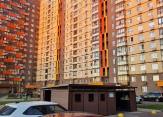 3-комнатная квартира в аренду, 73 м2, посёлок Мирный, Крымская улица, 8