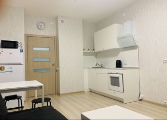 Сдам в аренду квартиру студию, 30 м2, Пермь, улица Революции, 52В, ЖК Гулливер