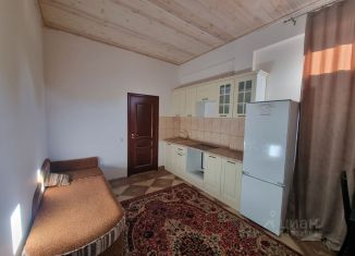 Сдача в аренду двухкомнатной квартиры, 54 м2, деревня Дудкино, садоводческое некоммерческое товарищество Дудкино, 139