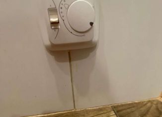 Продается однокомнатная квартира, 39 м2, село Зубово, улица Бориса Перина, 1