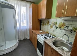 Продается 2-комнатная квартира, 382 м2, Новосокольники, улица Бабахина, 22