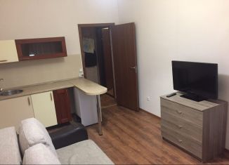 Квартира в аренду студия, 18 м2, Люберцы, Вертолётная улица, 18, ЖК Люберцы 2016