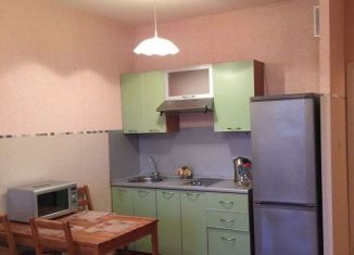 Сдается квартира студия, 30 м2, Санкт-Петербург, Выборгское шоссе, 27к3, метро Парнас