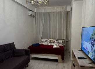 1-комнатная квартира в аренду, 40 м2, Дагестан, улица Даниялова, 92