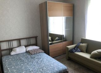 Комната в аренду, 15 м2, деревня Дудкино, 2-я улица