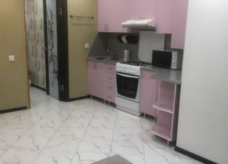 Однокомнатная квартира в аренду, 48 м2, Тихорецк, Передовая улица, 217