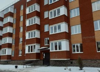 Продается однокомнатная квартира, 44.6 м2, Янаул, Южная улица