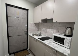 Аренда квартиры студии, 18 м2, деревня Румянцево, Садовая улица, 12Б