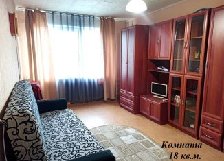 Сдам в аренду комнату, 18 м2, Никольское, Пионерская улица, 1