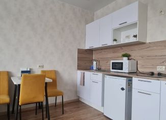 Сдаю квартиру студию, 30 м2, Новосибирск, Часовая улица, 37/1