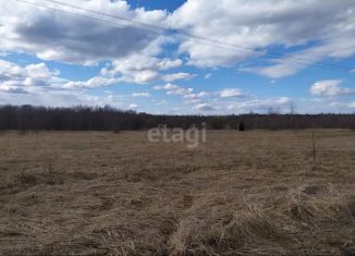 Продаю земельный участок, 28.8 сот., деревня Шулма, улица Ветеранов, 1