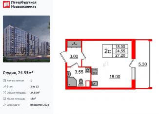 Продам квартиру студию, 24.6 м2, Санкт-Петербург, метро Озерки