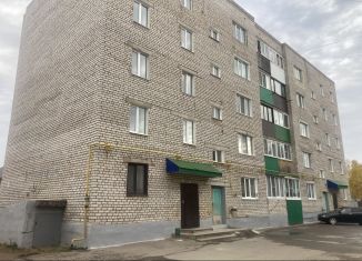 Продается 3-комнатная квартира, 58.5 м2, Бирск, Интернациональная улица, 80