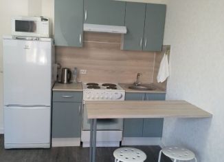 Сдаю квартиру студию, 25 м2, Санкт-Петербург, проспект Королёва, 62