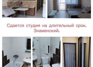 Квартира в аренду студия, 24 м2, Краснодарский край, Виноградная улица, 2