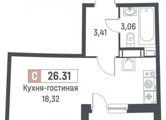 Продажа квартиры студии, 24.8 м2, Мурино