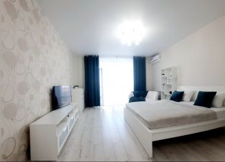 Сдам в аренду 1-ком. квартиру, 50 м2, Хабаровск, Пионерская улица, 1