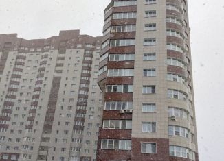 Сдаю квартиру студию, 56 м2, Москва, квартал Южный, 5