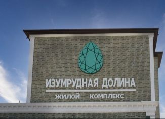 Однокомнатная квартира на продажу, 42.9 м2, село Шалушка, Весенняя улица, 6